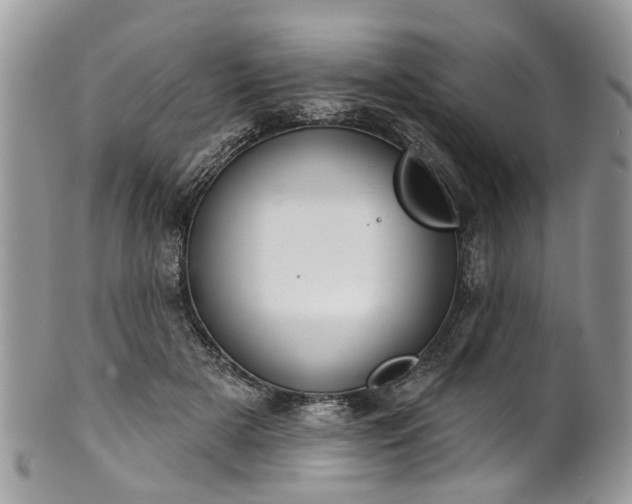 X0000101980505200807251237