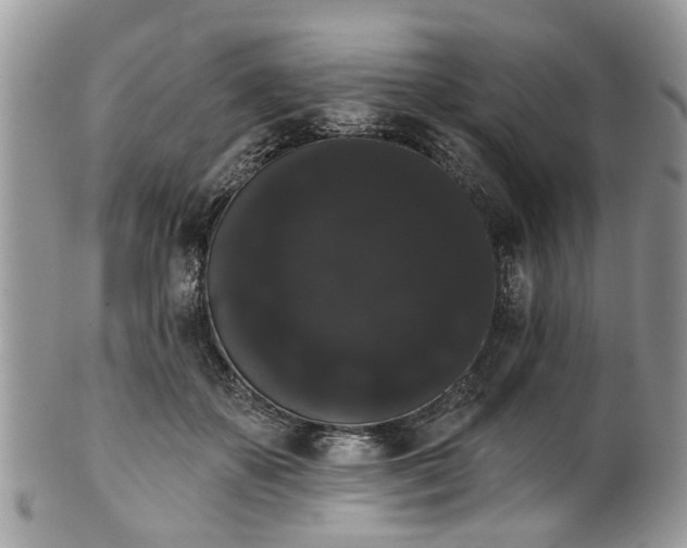 X0000101980507200807251237