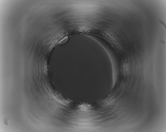 X0000101980508200807251237