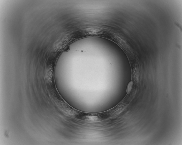 X0000101980509200807251237