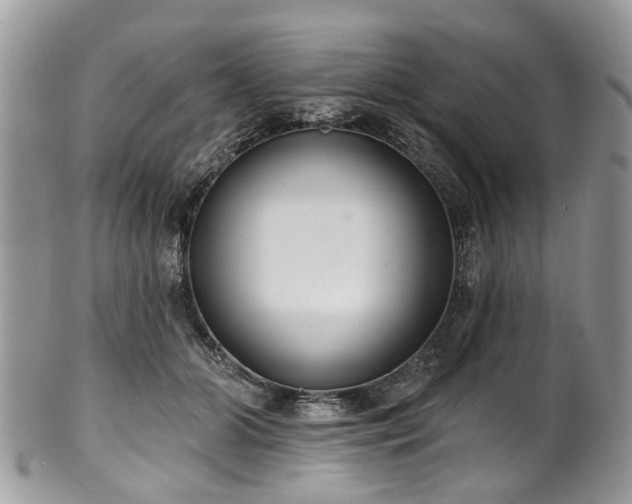 X0000101980510200807251237