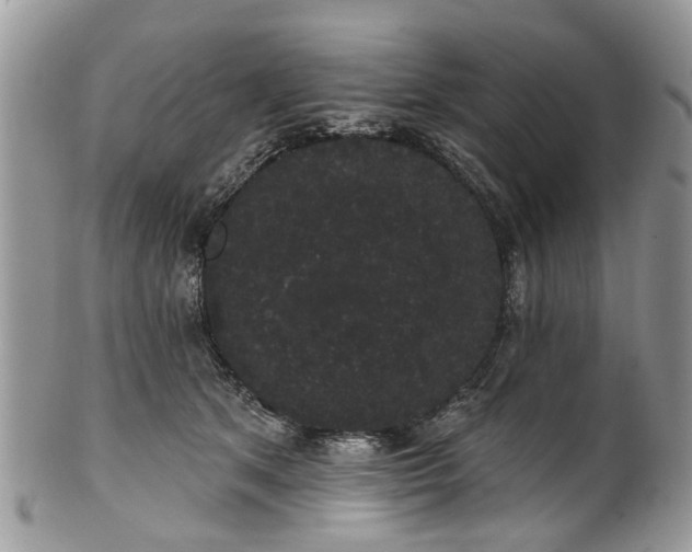 X0000101980513200807251237