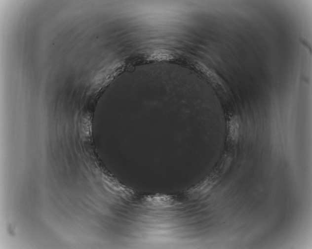 X0000101980517200807251236