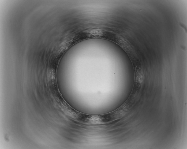 X0000101980518200807251236