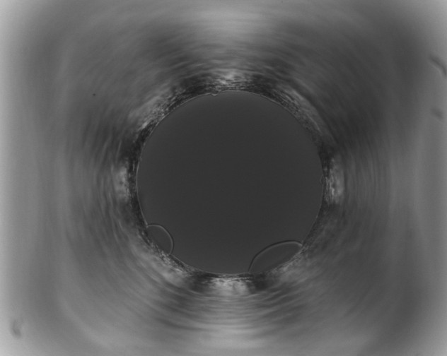 X0000101980520200807251236