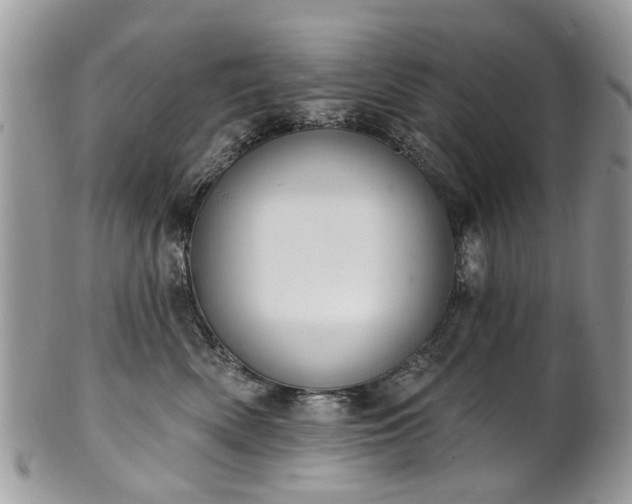 X0000101980522200807251236