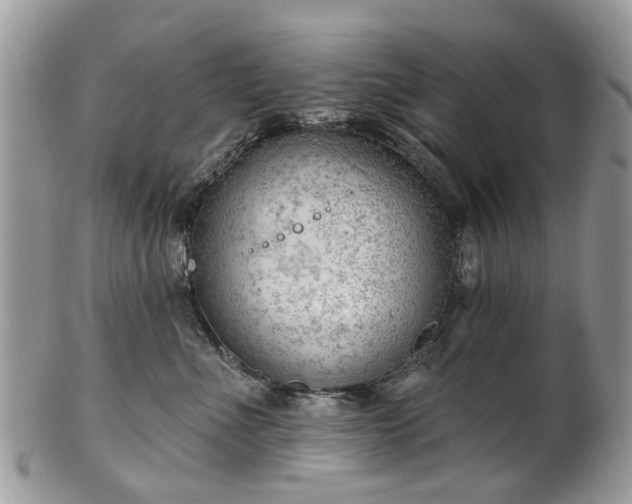 X0000101980523200807251236