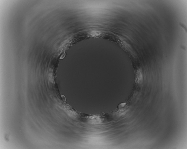 X0000101980524200807251236