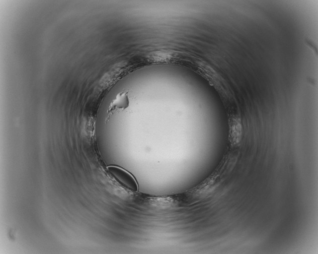 X0000101980525200807251236