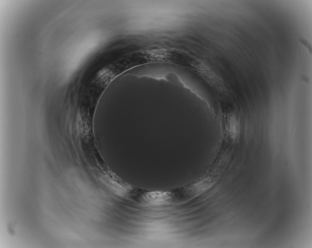 X0000101980526200807251236