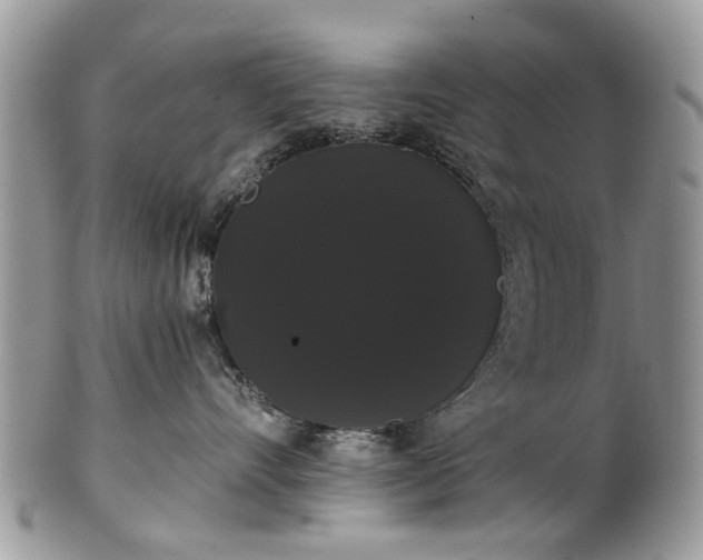 X0000101980528200807251236