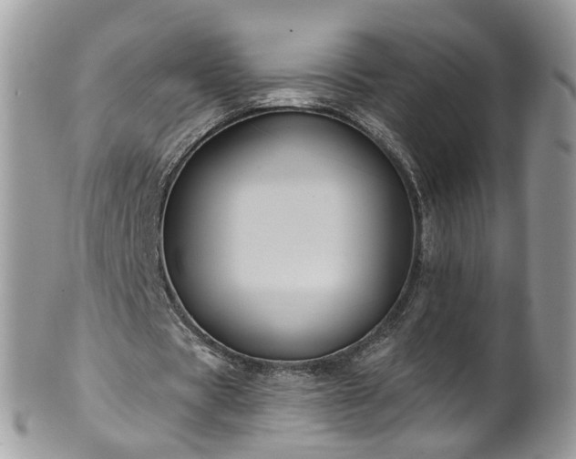 X0000101980529200807251235