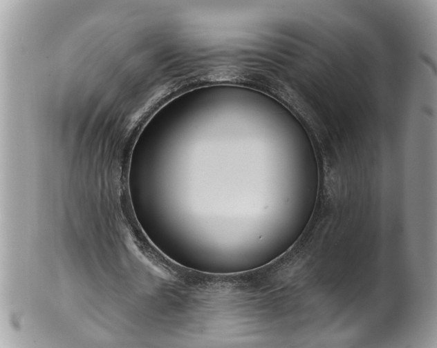 X0000101980530200807251236