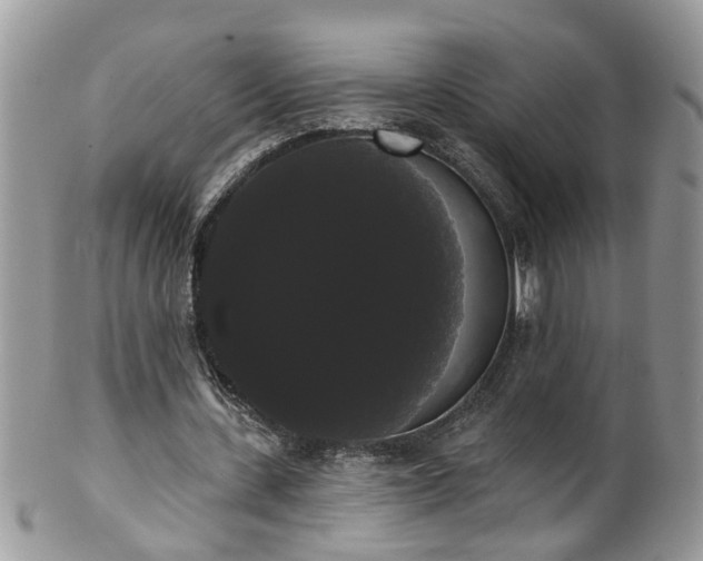 X0000101980531200807251236