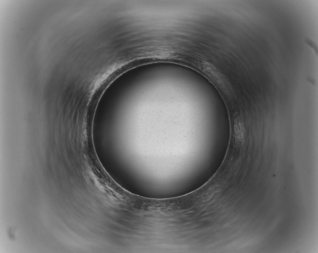 X0000101980532200807251236