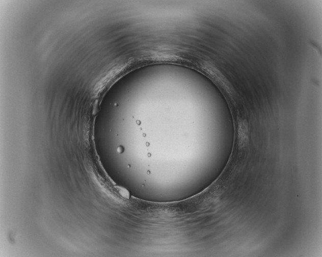 X0000101980533200807251236