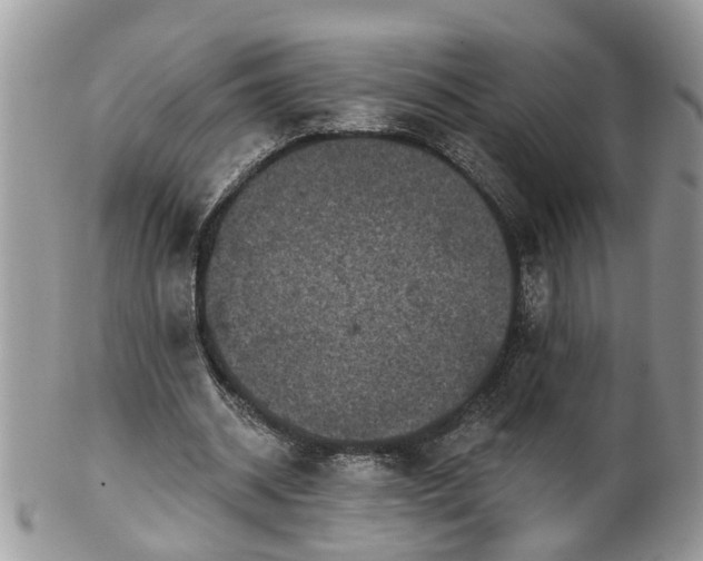 X0000101980534200807251236