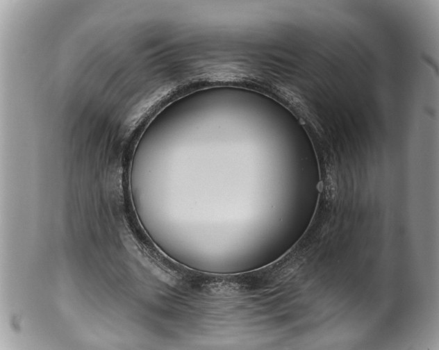 X0000101980535200807251236