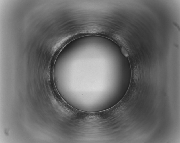 X0000101980536200807251236