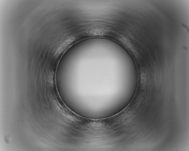 X0000101980537200807251236