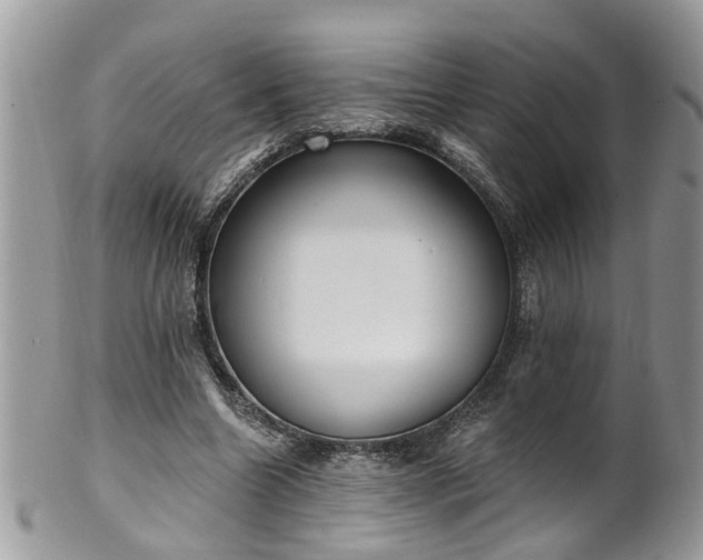 X0000101980538200807251236