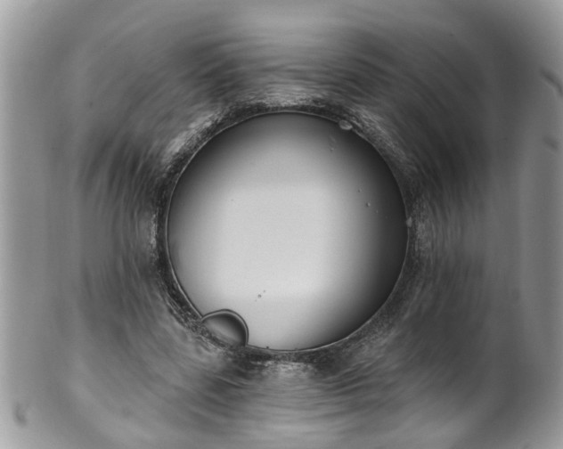 X0000101980539200807251236