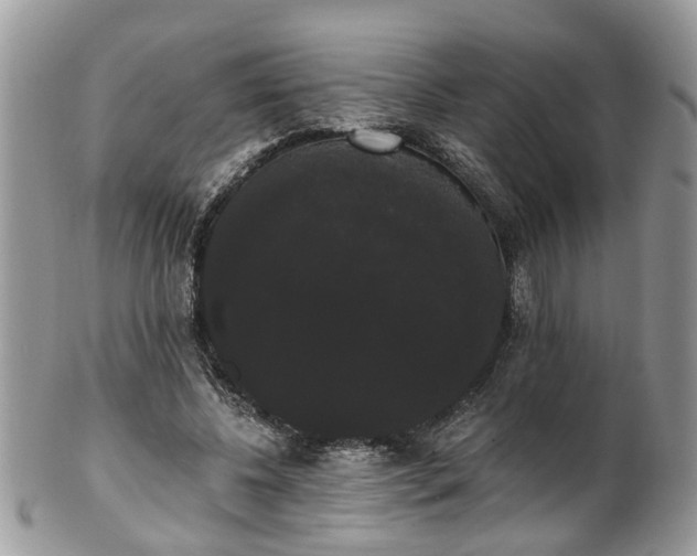 X0000101980540200807251236