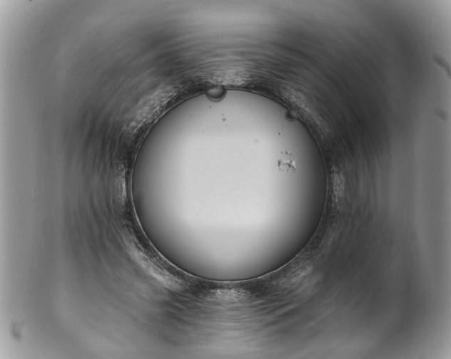 X0000101980541200807251236