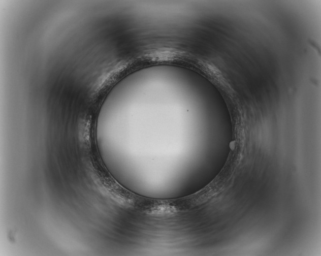 X0000101980543200807251236