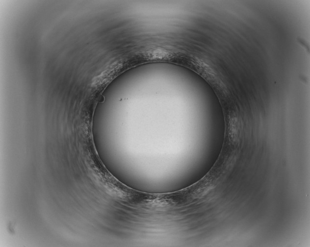 X0000101980545200807251236