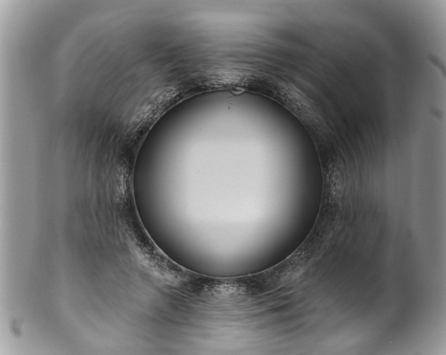 X0000101980546200807251236