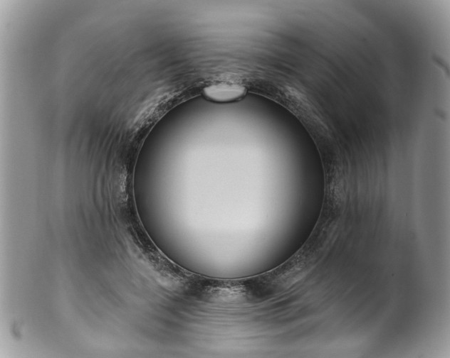 X0000101980548200807251236