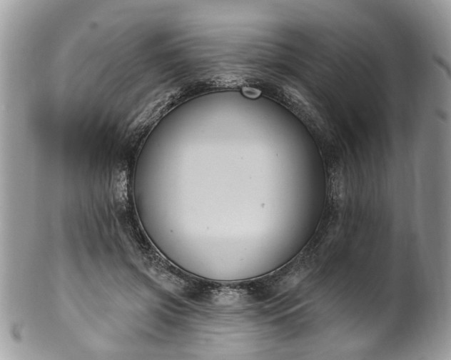 X0000101980549200807251236