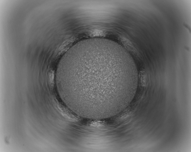 X0000101980550200807251236