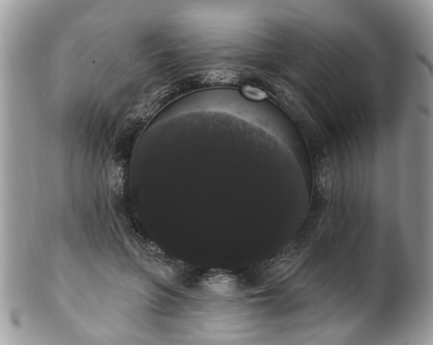 X0000101980551200807251236