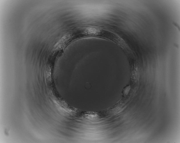 X0000101980552200807251236