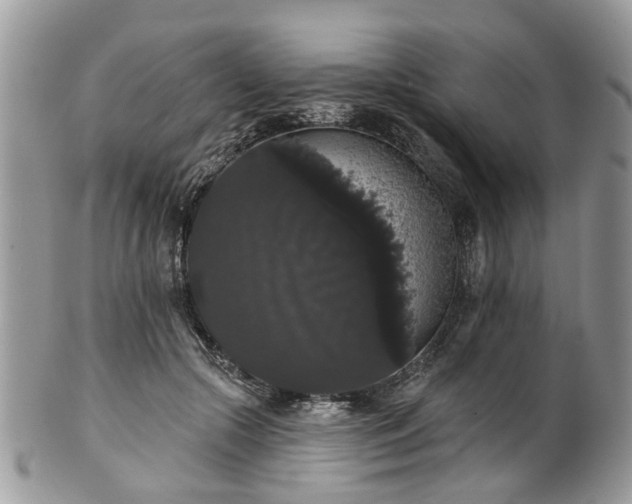 X0000101980553200807251236