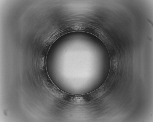 X0000101980554200807251236