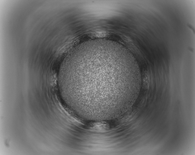 X0000101980555200807251236