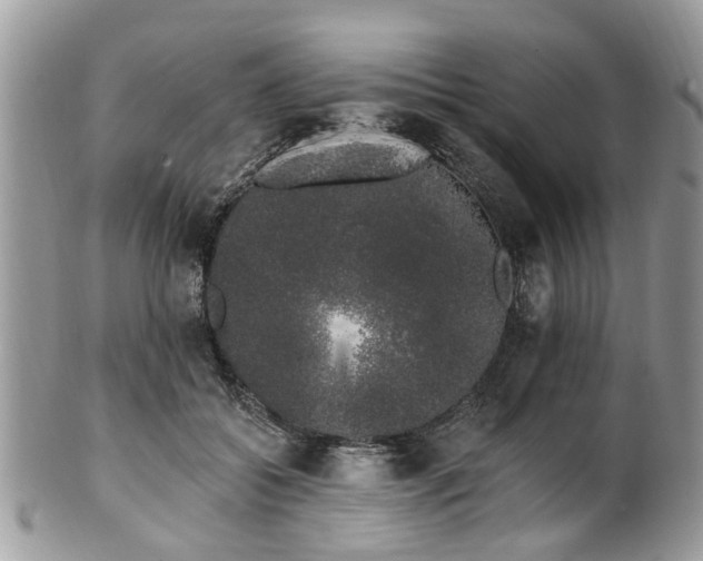 X0000101980556200807251236