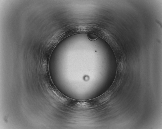 X0000101980557200807251236