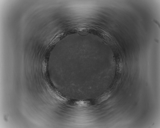 X0000101980558200807251236