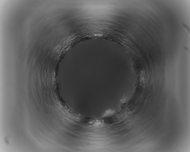 X0000101980559200807251236