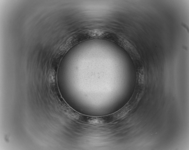 X0000101980561200807251236