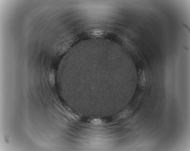 X0000101980562200807251236