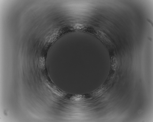 X0000101980563200807251236