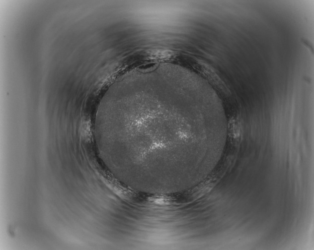 X0000101980564200807251236