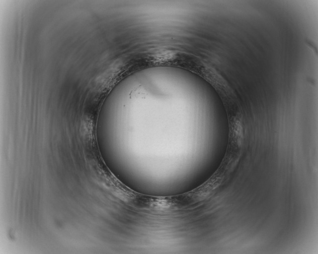 X0000101980565200807251236