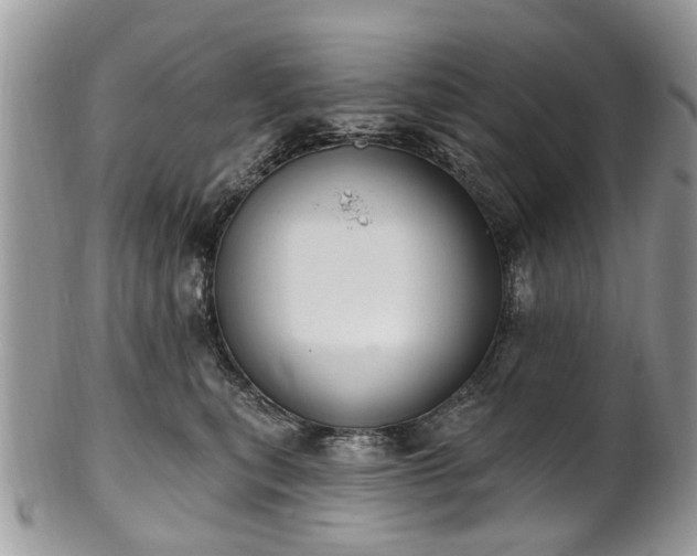 X0000101980567200807251236