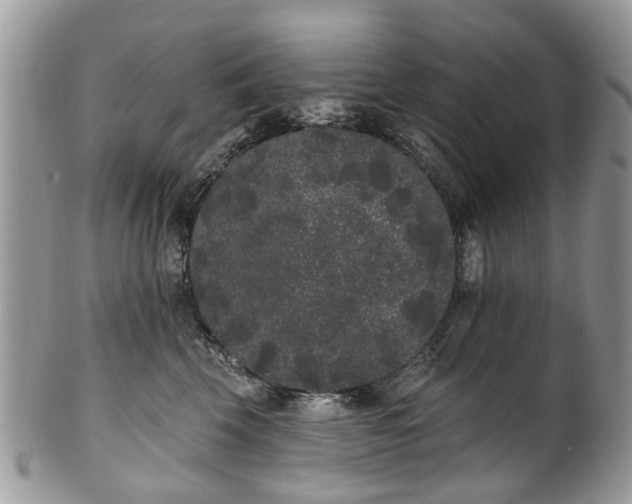 X0000101980569200807251236